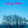 Sunny Winter